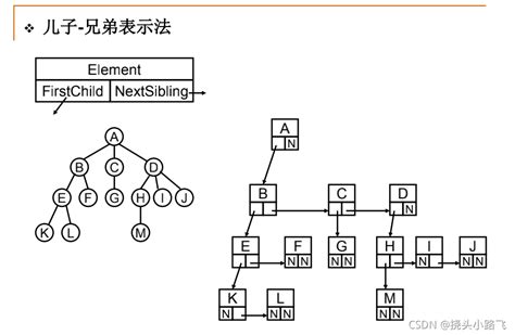 数据结构3 1：树与树的表示数据结构 长子是什么意思 Csdn博客