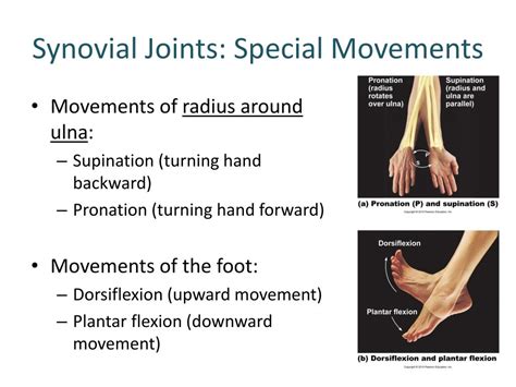 Concept Map Synovial Joint Movements