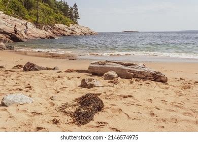 Hiking Bar Harbor Maine Stock Photo 2146574975 | Shutterstock