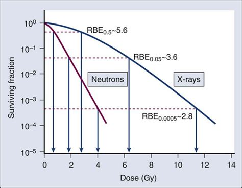 Basics Of Radiation Therapy Clinical Gate