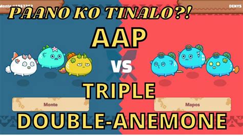 Aap Vs Triple Double Anemone Aqua Youtube