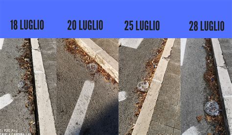 San Benedetto Pulizia Programmata Delle Strade Si Richiede Di