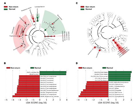Figure 2 From Gut And Vagina Microbiota Associated With Estrus Return Of Weaning Sows And Its