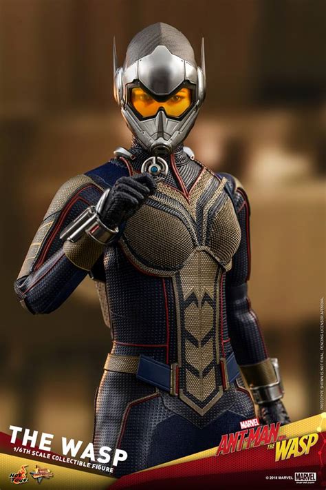 Hot Toys蟻俠2黃蜂女現身黃蜂女 The Wasp 實物樣辦登場 Toys Zone D 玩具兄弟 Figures Price List Reviews