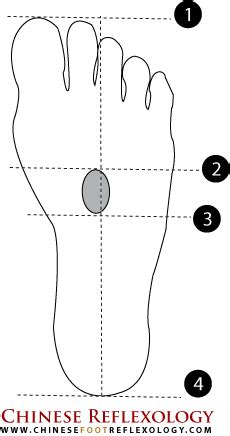 3 Chinese Reflexology And Acupressure Points For High Blood Pressure