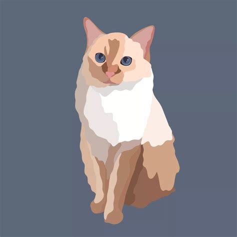 Ginger cat | Illustration art, Drawings, Ginger cats