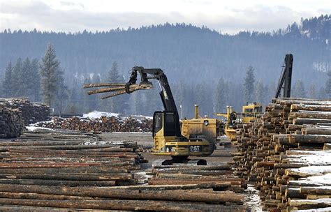 Nafta Fight Could Rock Timber Industry Local News