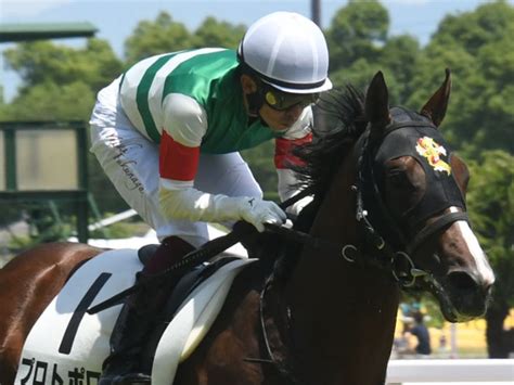 【小倉2歳s】3 1 2馬身差でデビュー戦を楽勝 プロトポロスはどんな血統？ 競馬ニュース Netkeiba