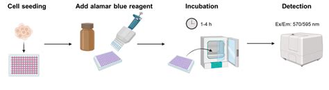 APExBIO - Alamar Blue Cell Viability Assay Kit