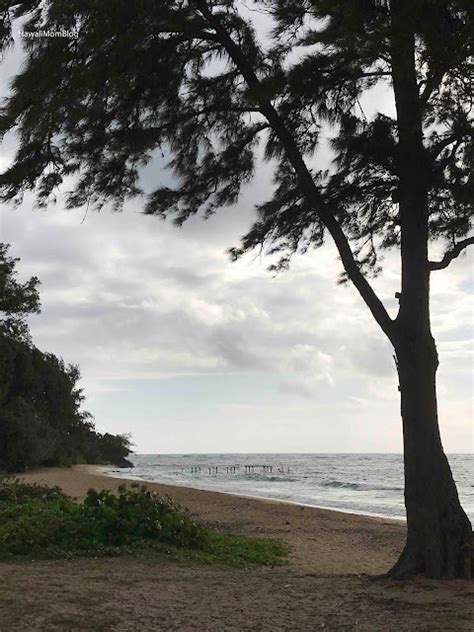 Hawaii Mom Blog: Laie Beach Park