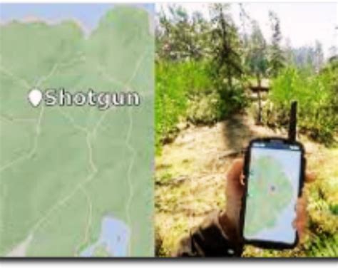 Sons of the Forest Shotgun: How to Get It Easily? | Editorialge