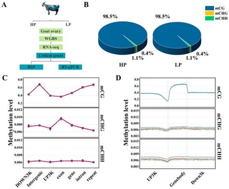 Genome Wide Dna Methylation Analysis And Functional Validation Of