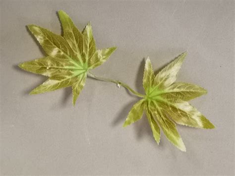 Купить искусственную зелень оптом в Беларуси: Минск, Гродно, Витебск ...