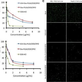 In Vitro Cytotoxicity Of DOX SPIO Loaded Micelles And DOX HCl Against