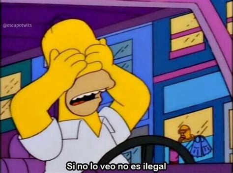 Si No Lo Veo No Es Ilegal Memes De Los Simpson Frases De Los