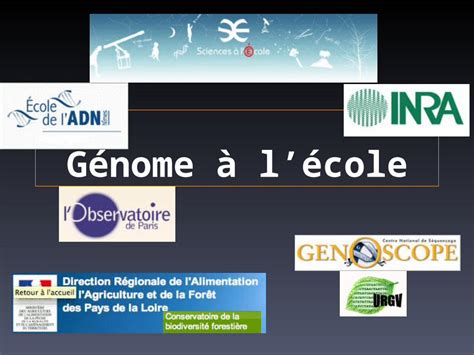 PPT Génome à lécole Pour qui Pour les lycéens de séries générale