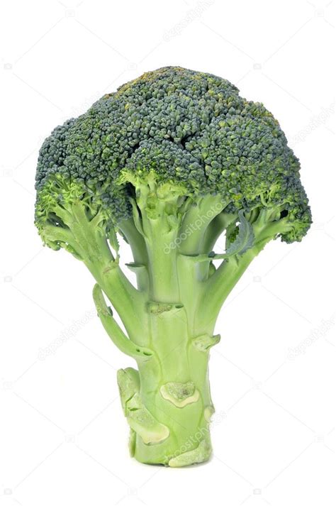 Broccoli Bunch