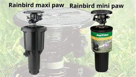 Rain Bird Maxi Paw Vs Mini Paw Sprinkler Rain Bird Pop Up Sprinklers