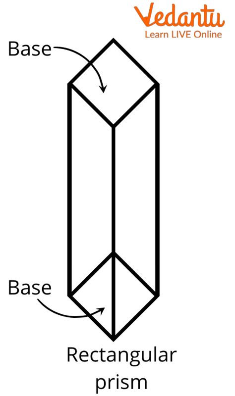 What Are Lateral Faces Of A Shape Definition And Examples