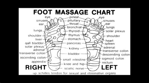 Foot Reflexology Map For Beginners 6 Youtube