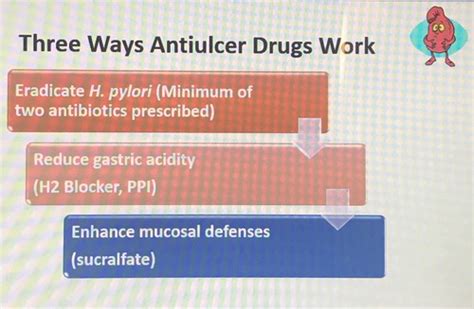 Gastrointestinal Medications Flashcards Quizlet