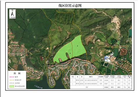 广州市规划和自然资源局花都区分局林木采伐公示
