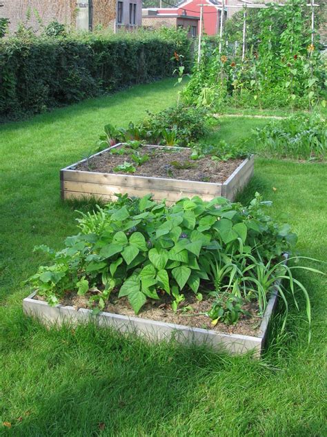 Les règles dor pour un potager écoresponsable Adalia