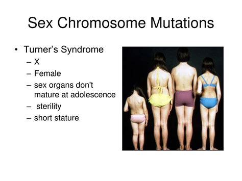 Ppt Mutations Powerpoint Presentation Free Download Id6119953