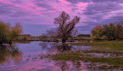 Unpacking The Nexus Between Stabilization And Climate Peace And