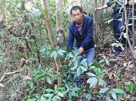 非法捕猎野生保护动物，湖北保康一对馋嘴的叔侄被刑拘 荆楚网 湖北日报网