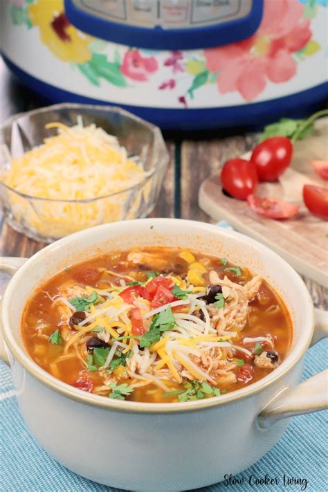 Slow Cooker Chicken Tortilla Soup | Slow Cooker Living