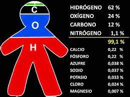 Los Seres Humanos Estamos Construidos Por A Agua B Fuego C Aire D