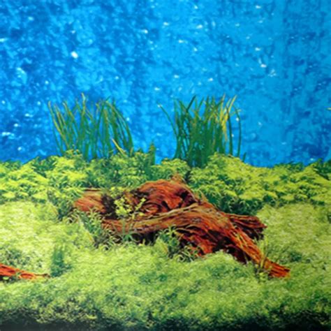 Popular Aquarium Background Stickers-Buy Cheap Aquarium Background ...