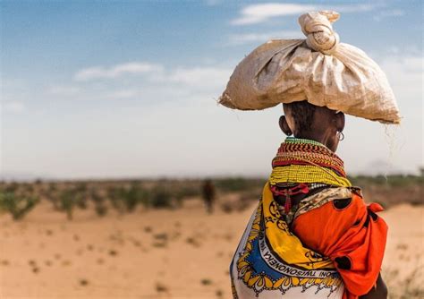 Dieci anni di caldo record l Onu lancia l allarme Il pianeta è sull