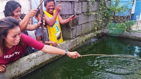 Enjoy Sila Manghuli Ng Tilapia Sa Concrete Pond Ko Backyard Tilapia