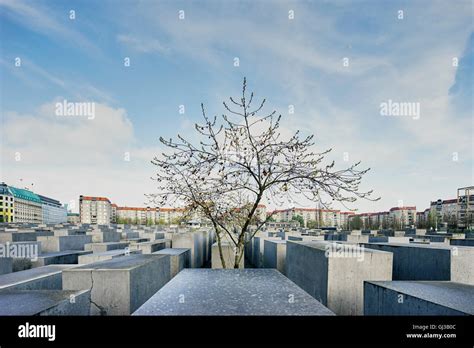 Bloques Estructurales Fotograf As E Im Genes De Alta Resoluci N Alamy