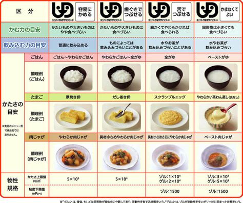 介護食の基礎と作り方のポイント 健康長寿ネット