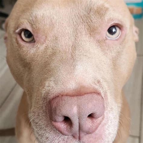 Sex Feat Ky Kiske Mike Wocky Wock Lil Tizzy Waterwrist Jarennotjaren Lemonade