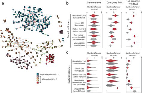 Transmission of human-associated microbiota along family and social ... 