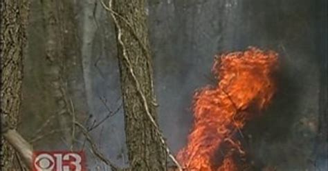 Md Firefighters Spent Weekend Battling Brush Fires Cbs Baltimore