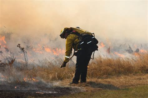 Cal Fire Assists California State Parks With Prescribed Fire Redheaded Blackbelt