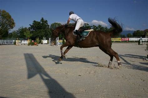 Fédération Genevoise Equestre News du week end Saut à Corsier