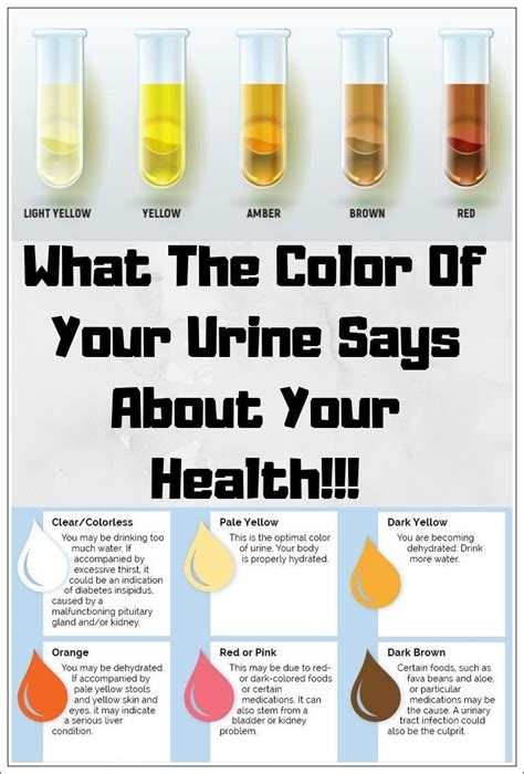 Does azo change the color of your urine: AZO Urinary Pain Relief Uses, Side Effects & Warnings