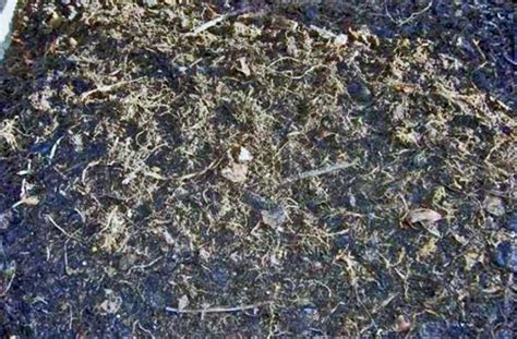 Leafmould