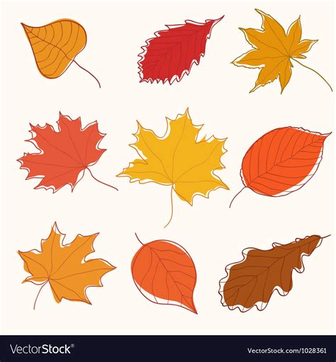 Set Of Autumn Doodle Leaves Royalty Free Vector Image