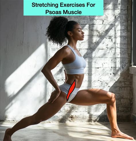 Stretching Exercises For Psoas Muscle Best Stretch For The Iliopsoas