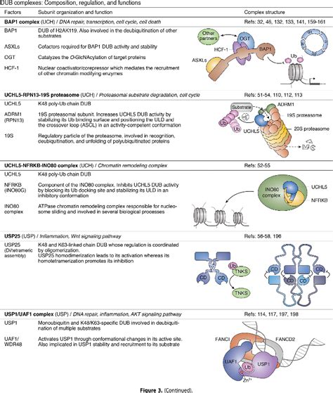 Figure From Mechanisms Orchestrating The Enzymatic Activity And