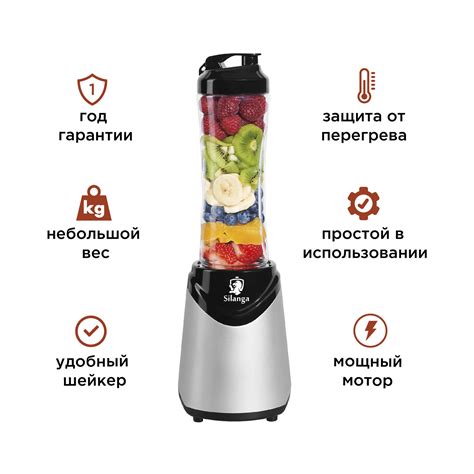 Блендер для смузи Silanga BL550 Smoothie maker | Компания Silanga
