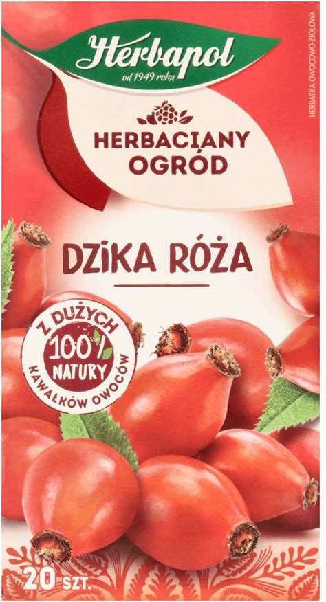 Herbapol Herbatka Owocowa Zio Owa Dzika R A Szt Drogeria