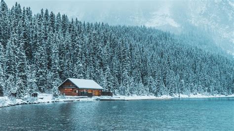 Log Cabin At Lake Louise Backiee